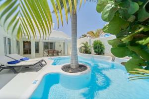 a palm tree sitting next to a swimming pool at KATIS Villas Fuerteventura in Corralejo