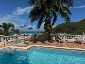 a swimming pool with a view of the ocean at Villa Joëlle in Anse Marcel 