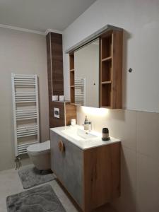 a bathroom with a sink and a toilet at Apartman THE VIEW in Vranješ +7 photos