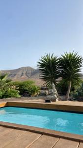 a swimming pool with palm trees in the desert at Studio Aloha in La Oliva