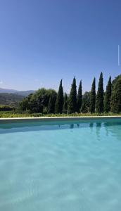 a large pool of blue water with trees in the background at Casa das Feitorias Douro Valley in Baião