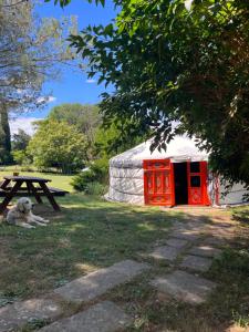 a dog laying in the grass next to a yurt at Bastide de montchamp in Malataverne