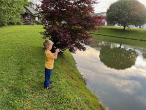 Gallery image of Laurel Lake Cabins in Corbin