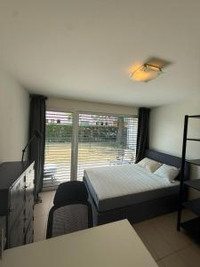 a bedroom with a bed and a large window at Apart Leman in Ecublens