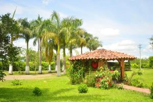 a small gazebo in a park with palm trees at Finca Hotel Loma del Café in Pueblorrico +6 photos