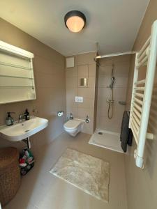 a bathroom with a sink and a shower and a toilet at Apart Leman in Ecublens