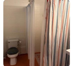 a bathroom with a toilet and a shower curtain at Wolf Den retreat on 20 acres in Julian +21 photos