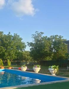 a swimming pool with three potted plants in a yard at Green Village in Grigolaantkari