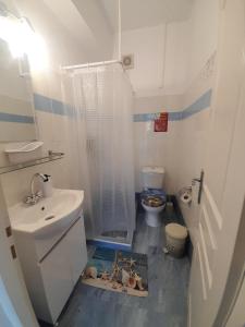 a bathroom with a shower and a sink and a toilet at Studios RENA in Fournoi +73 photos
