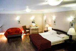 a bedroom with a bed and a chair and a mirror at Guest House Senasis Pastas in Druskininkai