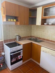 a small kitchen with a stove and a sink at Stoun house in Reževići