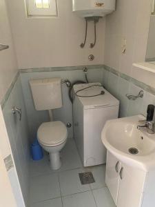a small bathroom with a toilet and a sink at Stoun house in Reževići +7 photos