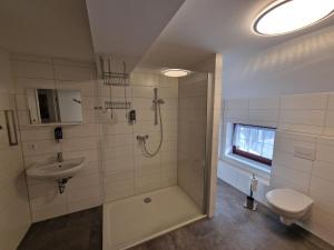 a bathroom with a shower and a sink and a toilet at Ferienwohnung Seiffener Hof in Seiffen +11 photos
