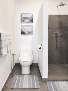a bathroom with a toilet and a shower at Sandy Feet House in Puerto Villamil +15 photos