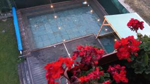an overhead view of a swimming pool with red flowers at Stenata LightWill in Banya