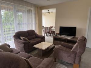 a living room with a couch and chairs and a television at Apartmani JELIČIĆ in Zaovine
