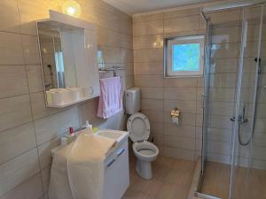 a bathroom with a toilet and a shower and a sink at Apartmani JELIČIĆ in Zaovine +33 photos