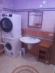 a bathroom with a washing machine and a sink at Ferienwohnung Lilie in Pegau