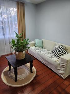 a living room with a couch and a plant on a table at Casa Runa in Quillota +31 photos