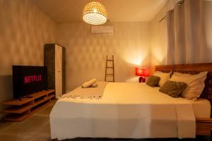 a bedroom with a large bed and a television at ELOMY VILLA in Albion