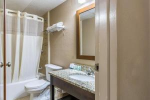 a bathroom with a sink and a toilet and a mirror at GreenRidge Hotel in Wickliffe +33 photos