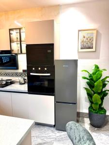 eine Küche mit einem schwarz-weißen Backofen und einer Pflanze in der Unterkunft Tijania Complex in Bijilo