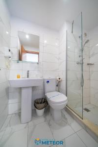 a bathroom with a toilet and a sink and a shower at Hotel Meteor in Jupiter