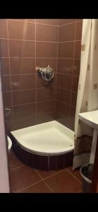 a shower with a toilet in a bathroom at Номер та Паркінг in Chernivtsi +1 photo