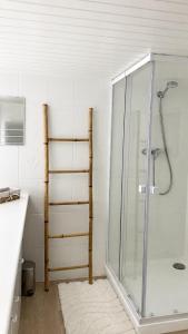 a bathroom with a shower with a glass shower stall at Joli triplex proche Colmar in Sainte-Croix-en-Plaine +21 photos