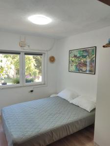 a bedroom with a bed and two windows at Vikendica Brda in Banja Luka
