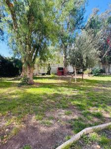 a yard with two trees and a playground at Refugio las pircas in Vicuña