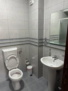 a bathroom with a toilet and a sink at Apartman VUKOVIĆ in Žabljak