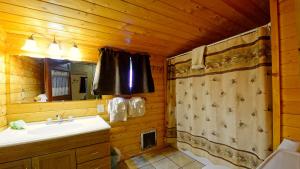 a bathroom with a sink and a shower at Arrowhead 04 in Red River
