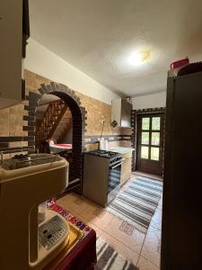 a kitchen with an oven and a stove in a room at Casa hoinarului in Borca
