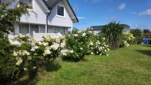 a house with white flowers in the yard at Sosnowe Domki in Sarbinowo
