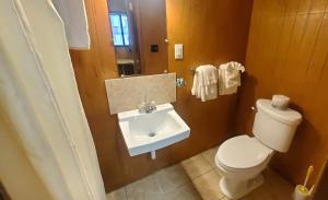 a bathroom with a toilet and a sink at Arrowhead 02 in Red River