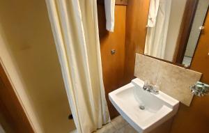 a bathroom with a white sink and a mirror at Arrowhead 02 in Red River