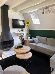 a living room with a couch and a fireplace at Caseo Gramsbergen in Gramsbergen