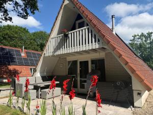 a small house with red flowers in front of it at Caseo Gramsbergen in Gramsbergen