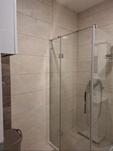 a shower with a glass door in a bathroom at The Olive Branch in Sarajevo +7 photos