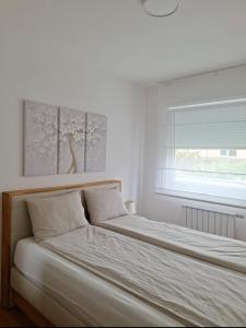 a bed in a white room with a window at The Olive Branch in Sarajevo