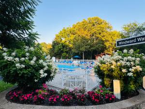 a garden with flowers in front of a swimming pool at Put-in-Bay Island Club #71 in Put-in-Bay