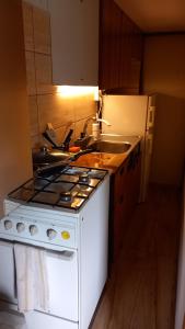 a kitchen with a white stove and a sink at Chata Milka in Medzilaborce +17 photos