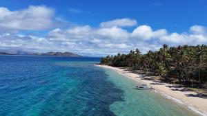 a beach with palm trees and a boat in the water at Tovuka House Scuba too in Rakiraki