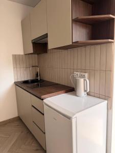 a small kitchen with a white refrigerator and a sink at Central House in Cahul