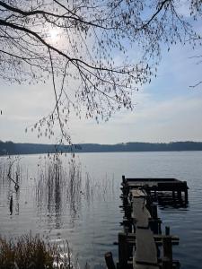 a dock on a lake with the sun reflecting in the water at POLANKA - Krzynki 16A in Krzynki
