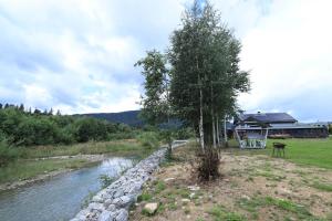 a tree in front of a house next to a river at A-frame cottage in Mykulychyn