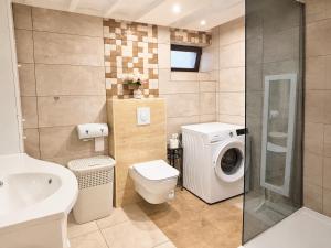 a bathroom with a toilet sink and a washing machine at Grandma's Corner in Štore +3 photos