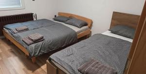 two twin beds in a room with at Apartma TI & JAZ in Vrh