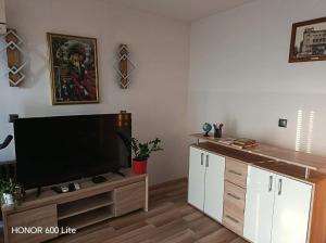 a living room with a flat screen tv on a wooden entertainment center at Apartma TI & JAZ in Vrh